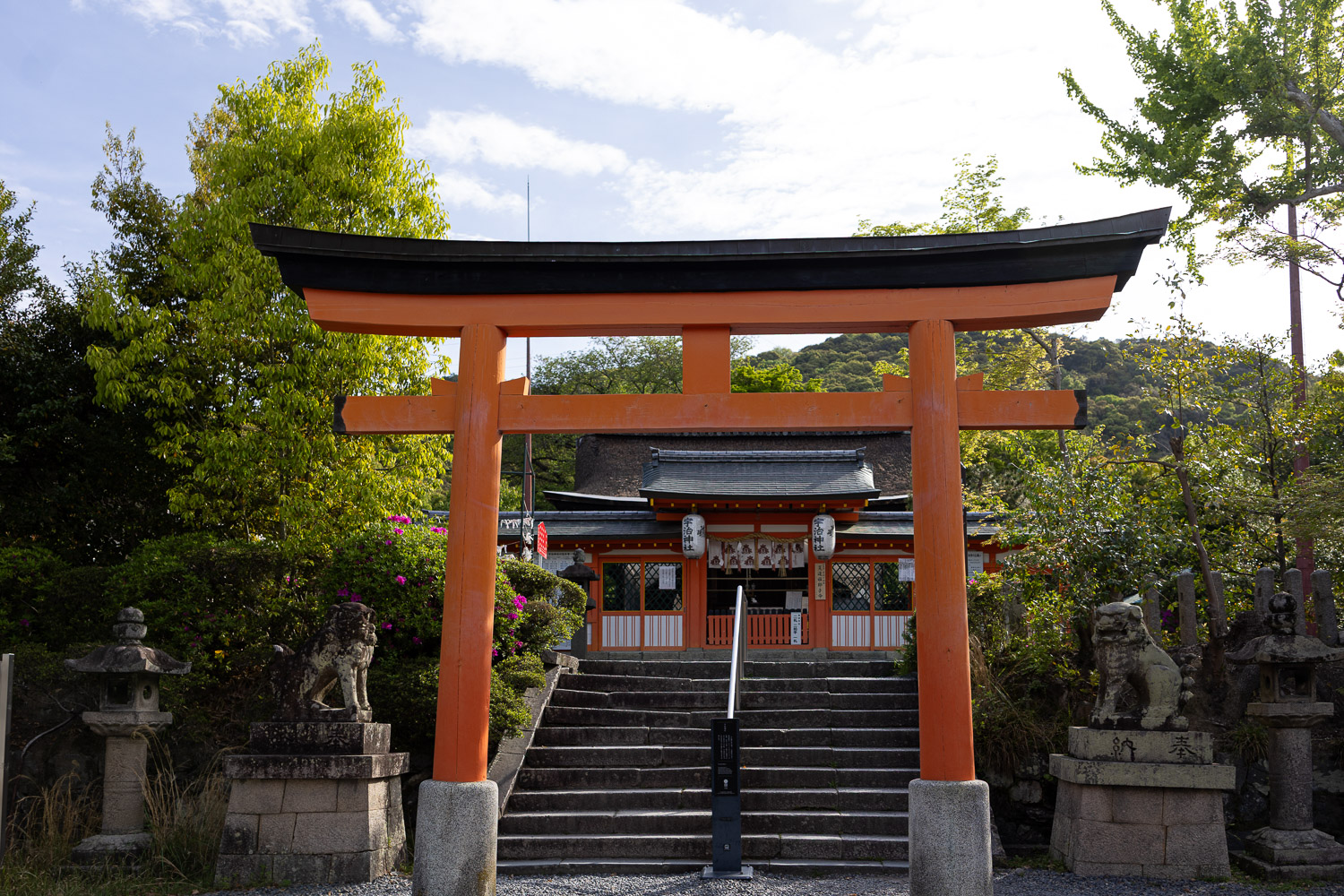 Vermilion torii gate at Uji Shrine entrance with stone steps, guardian dogs, and shrine hall beyond — Uji, Kyoto
