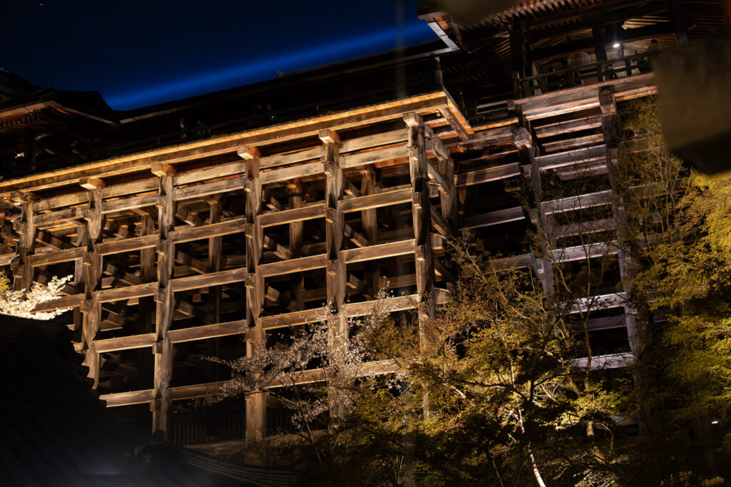 Kiyomizudera's three-storied pagoda lit up at night, framed by cherry blossoms, with the blue Kannon Jihi-ko beam crossing the sky