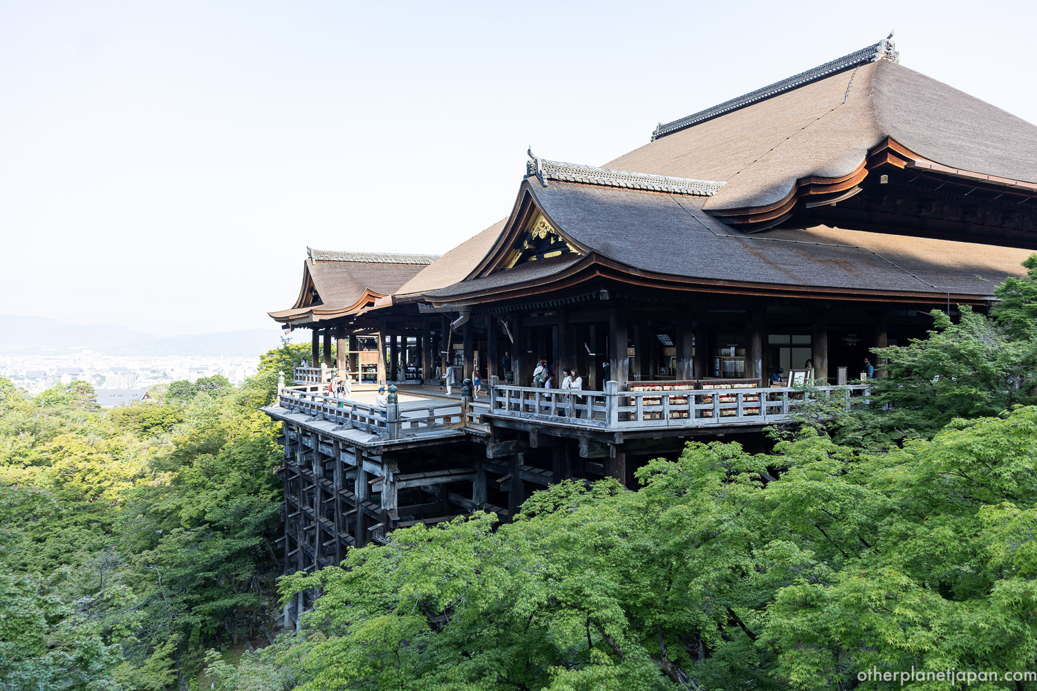 Wide-angle view of Kiyomizudera wooden stage, timber pillars and green hillside