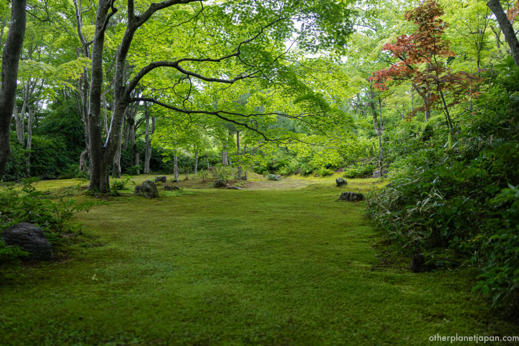 Moss garden with scattered rocks and overhanging maple branches at Okochi Sanso, Arashiyama