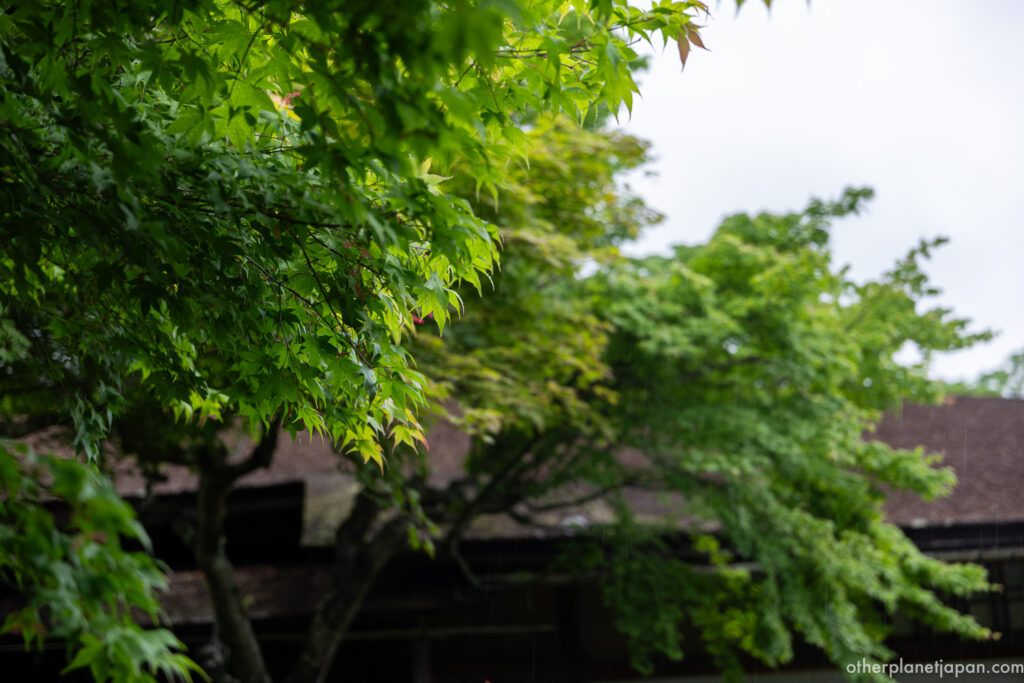 Daijokaku villa surrounded by spring foliage at Okochi Sanso garden, Arashiyama