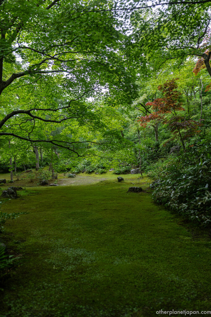 Tranquil moss lawn under maple and pine trees at Okochi Sanso, Arashiyama Kyoto