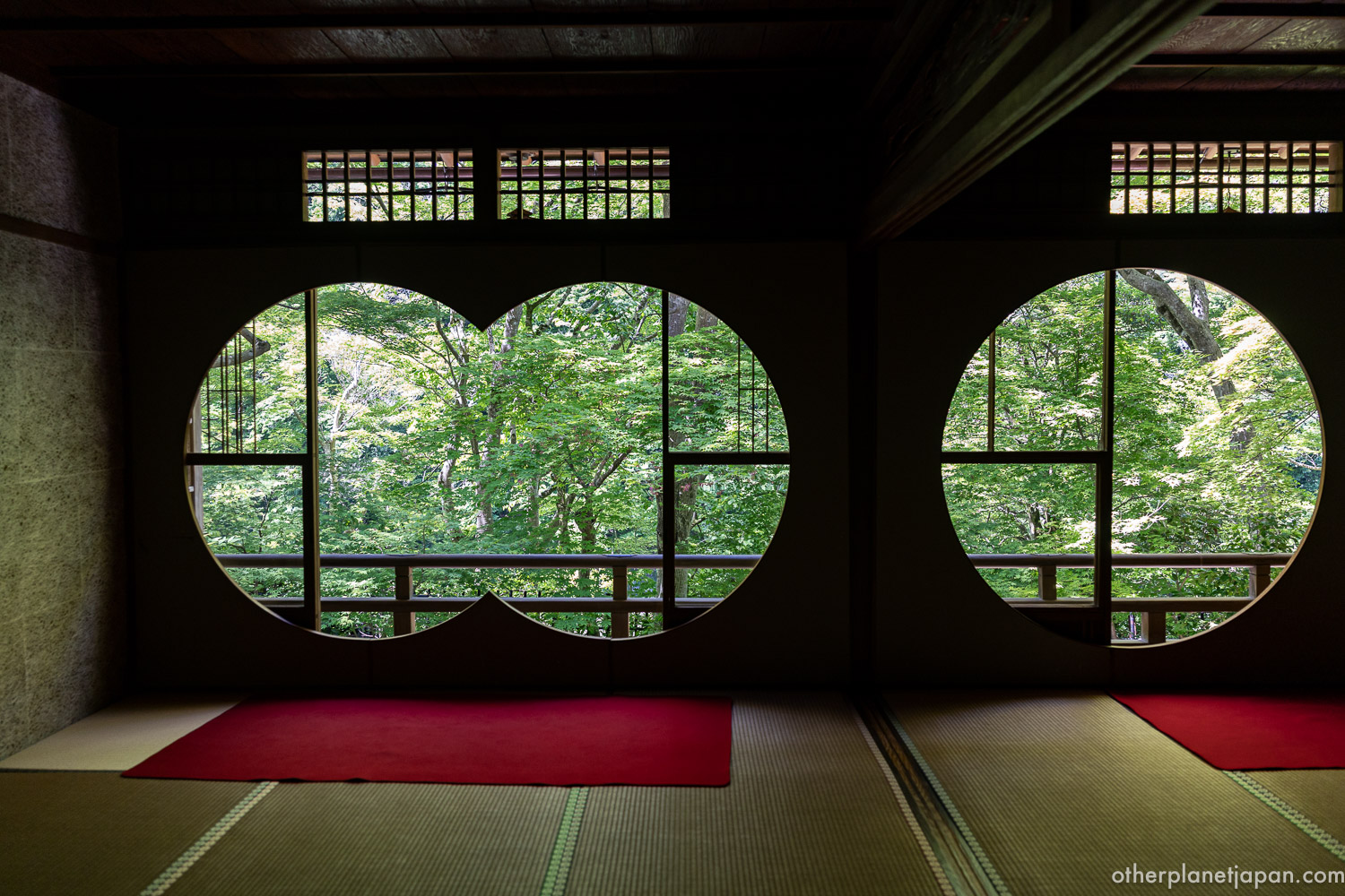 Four round windows at Arashiyama Yusai-tei reflected on the polished floor, framing fresh green maple leaves in May, Kyoto