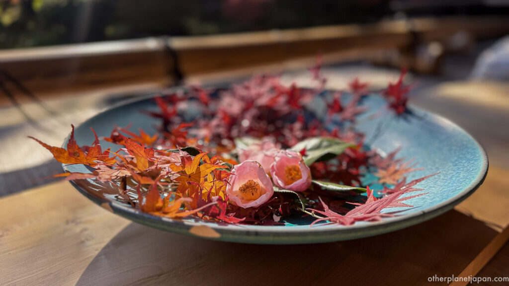 Red maple leaves and pink camellia blossoms floating in a ceramic water bowl at Nison-in Temple during autumn