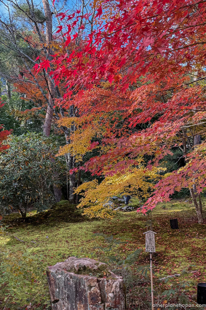 Autumn color gradation at Hogonin Temple, Arashiyama, Kyoto