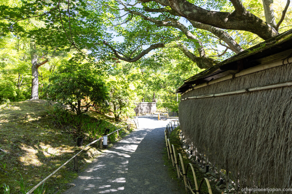 Traditional bamboo fence and path inside Hogonin Temple garden