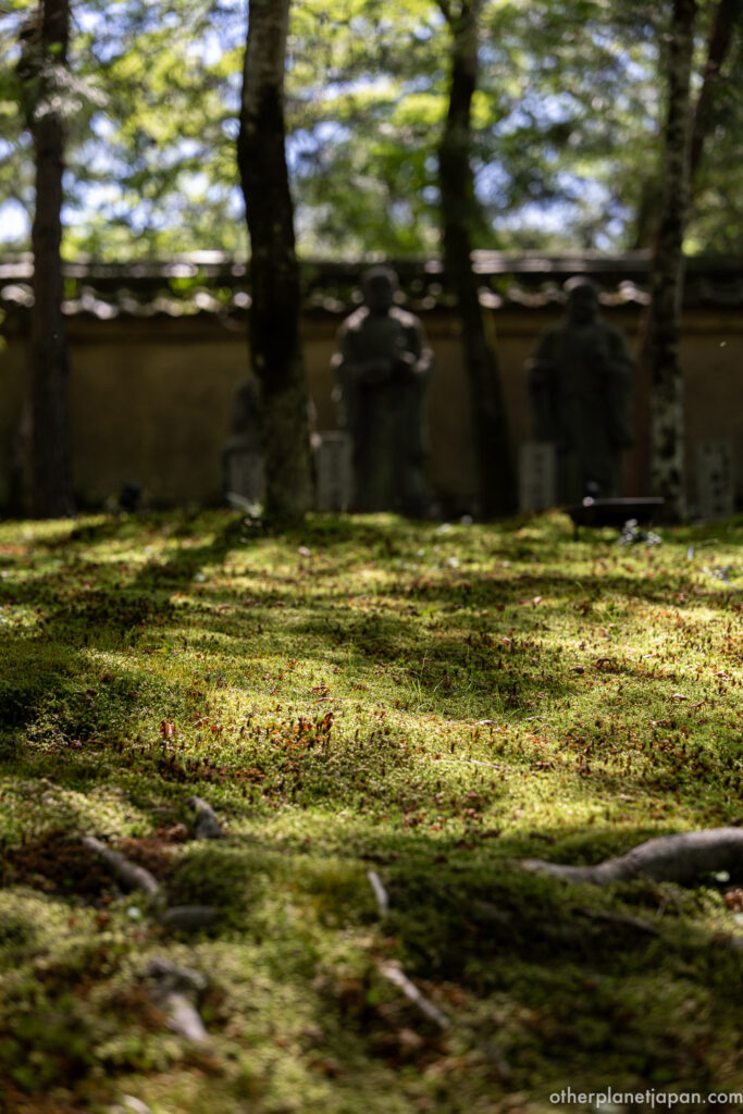 Wabi-sabi moss detail in front of Hogonin Temple statues