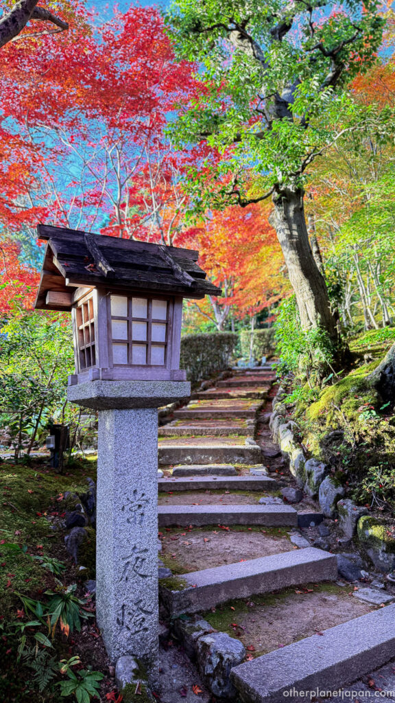 Stone lantern beside autumn leaves and steps at Jojakkoji temple, Kyoto