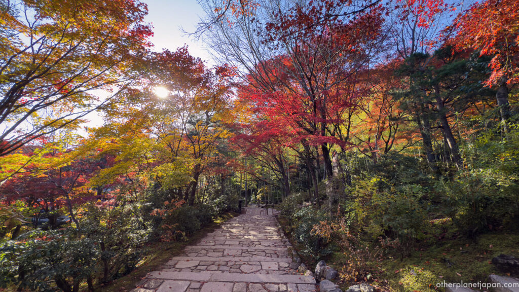 Sunlight breaking through autumn maple canopy over stone path at Jojakkoji, Kyoto