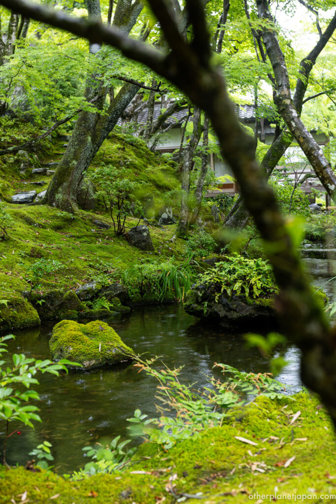 Moss garden with pond and small bridge in the inner grounds of Jojakkoji, Kyoto
