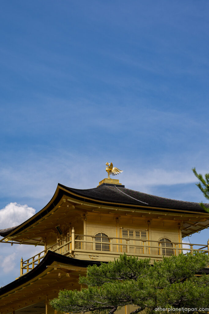 Gilded bronze phoenix atop the roof of Kinkakuji against a blue summer sky, Kyoto