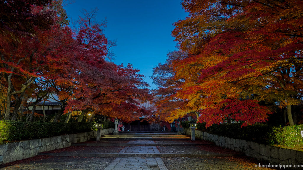 Stone path lined with red autumn maple trees at Shinnyodo Temple in Kyoto