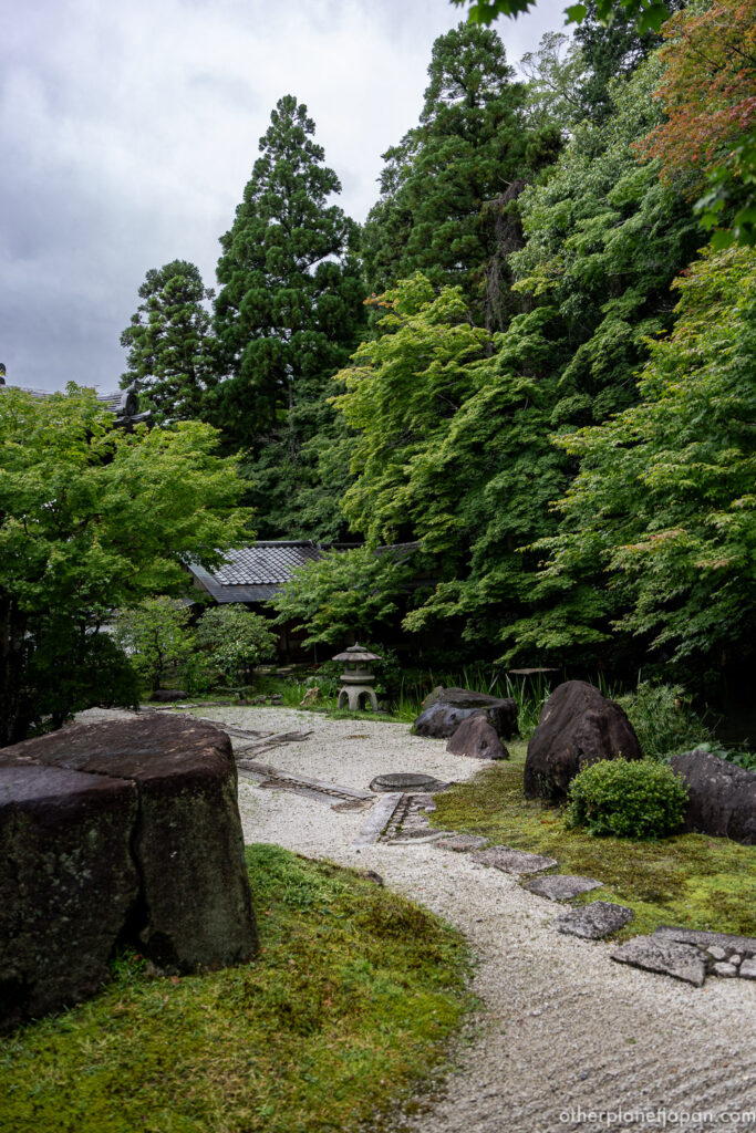 A quieter corner of the Nanzenji Hojo garden in late spring, with raked gravel, moss-edged stones, and a stone lantern half-hidden among fresh maple leaves in Kyoto.