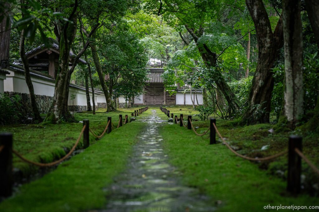 Moss-covered stone path leading to a wooden gate at Saihō-ji, lined with rope fencing and framed by trees in the rain
