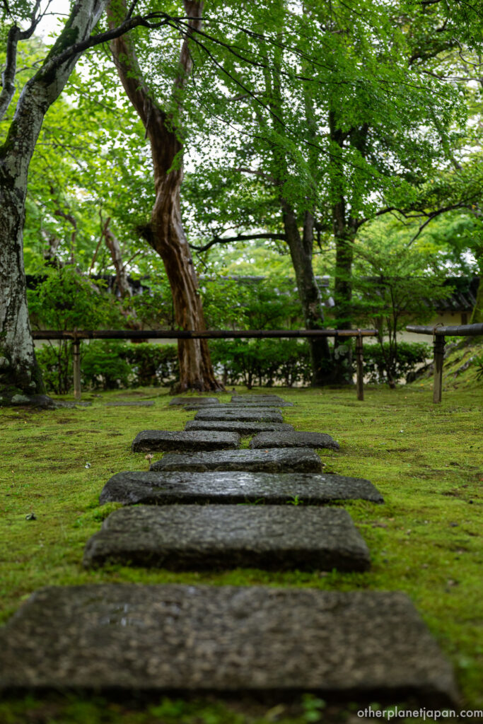 Stone stepping path through a lush moss garden under a green maple canopy at Nison-in Temple