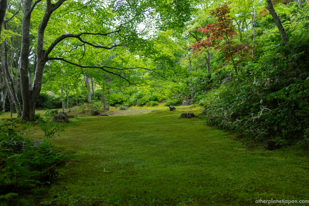 Lush moss lawn with overhanging maple branches and a red maple accent at Okochi Sanso garden, Arashiyama Kyoto