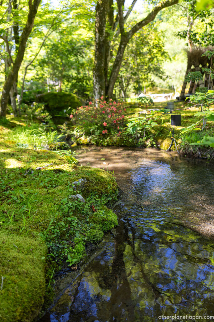 Peaceful stream and reflection inside Hogonin Temple garden, Kyoto