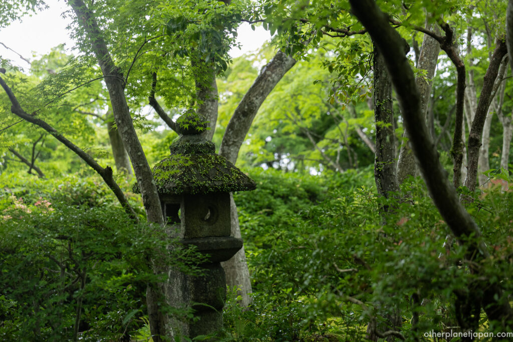 Moss-covered stone lantern surrounded by lush greenery at Okochi Sanso, Arashiyama
