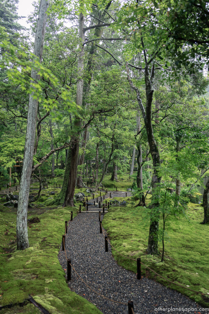 Gravel path winding through the moss garden at Saihō-ji, bordered by low rope fencing and tall cedar trees