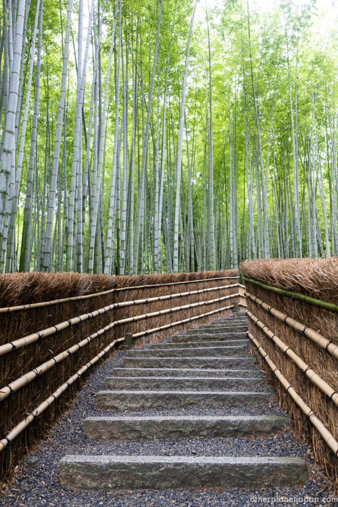 Empty stone stairway through a quiet bamboo grove in Okusaga, a calmer alternative to Arashiyama's famous path