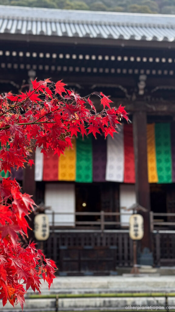 Bright red maple leaves in front of the main hall with colorful Buddhist banners at Eikando Temple, Kyoto