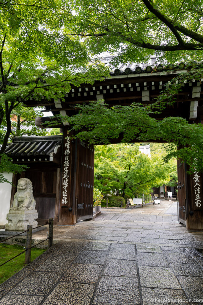 Main gate of Eikando Temple framed by fresh green maple leaves, with a stone guardian lion, Kyoto