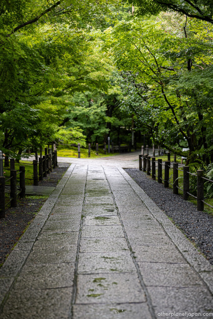 Rain-wet stone path under a tunnel of green maples at Eikando Temple, Kyoto