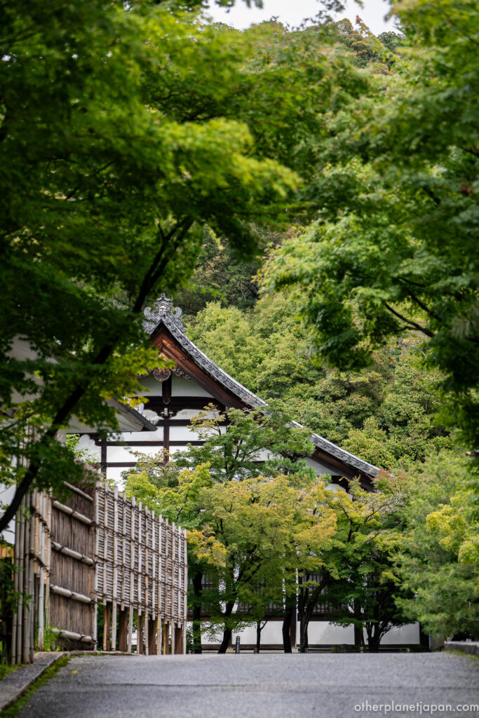 Quiet lane with bamboo fence and temple rooflines among green maples at Eikando Temple, Kyoto