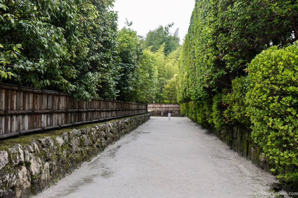 The gravel approach to Ginkakuji lined by a tall trimmed hedge and low bamboo fence, Kyoto"