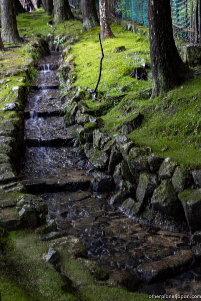 A small stone-lined stream running through the moss-covered forest garden at Ginkakuji, Kyoto"