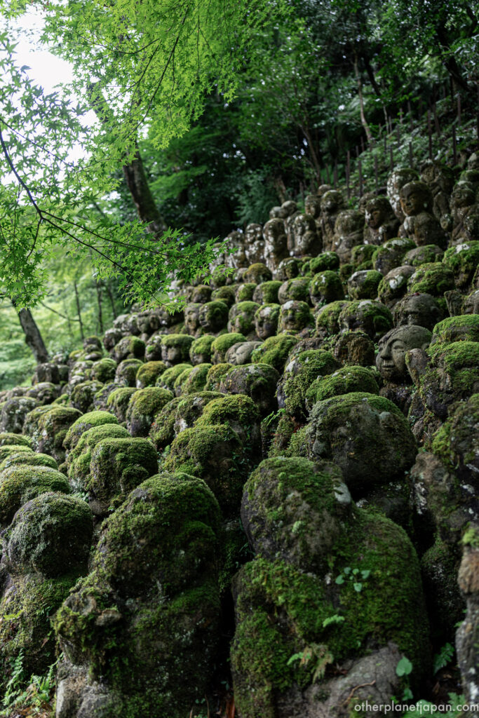 Hillside covered with moss-covered rakan statues under green maple trees at Otagi Nenbutsuji, Kyoto