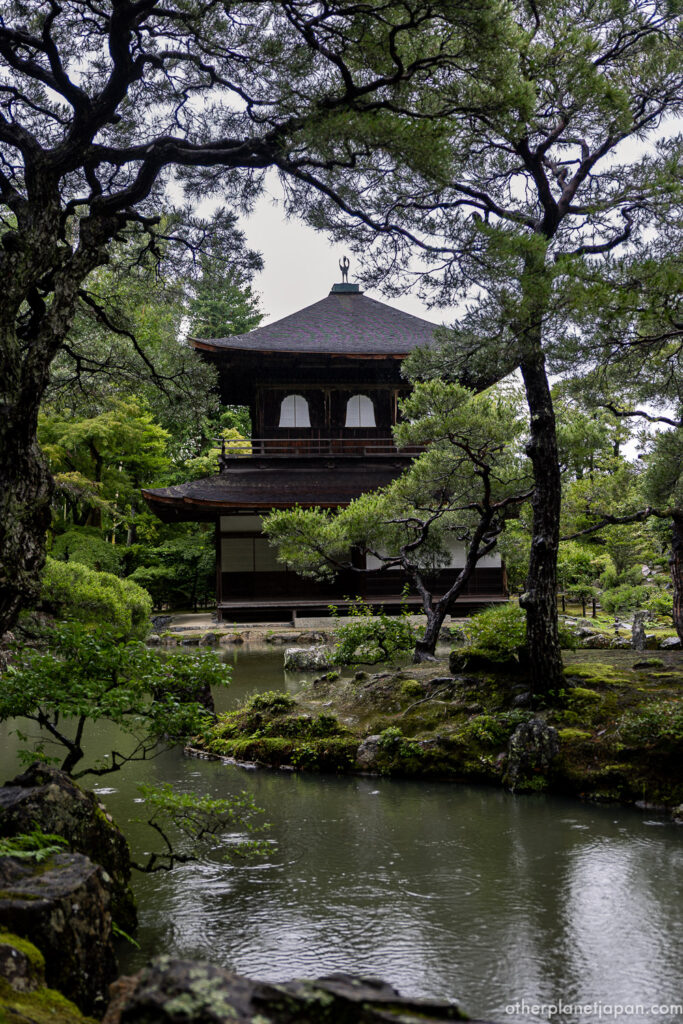 The Silver Pavilion of Ginkakuji viewed across its garden pond through the branches of black pines, Kyoto"