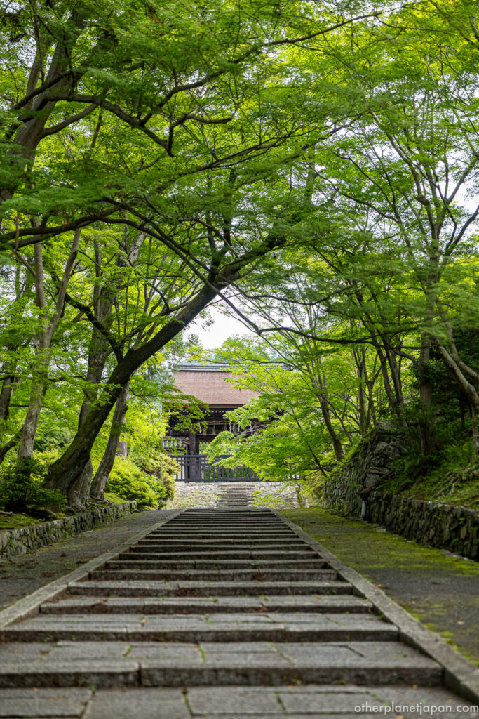 Green stone stairway leading up to the Imperial Messenger's Gate at Bishamondo Temple, Kyoto