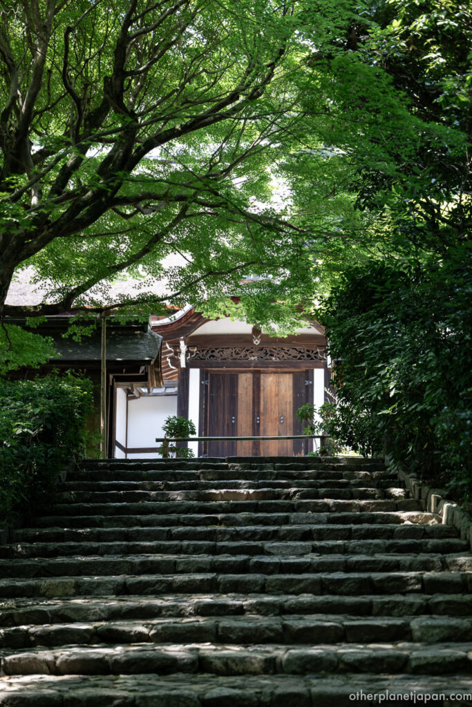Moss-covered stone steps leading up to the entrance gate of Ryoanji Temple