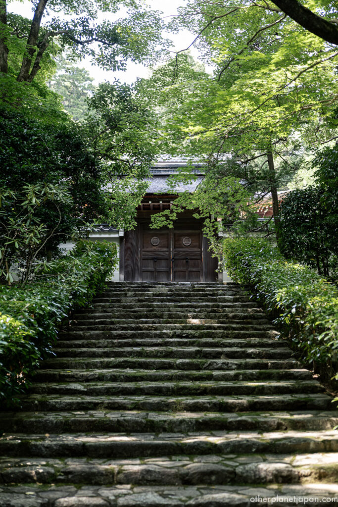 Stone steps leading to a wooden temple gate framed by green maple leaves at Ryoanji