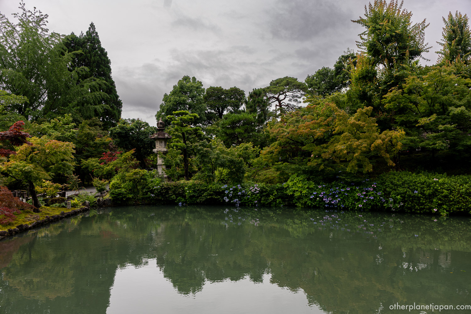 Hojo Pond at Eikando Temple in early summer, with hydrangeas, a stone lantern, and green trees reflected in the still water under an overcast Kyoto sky