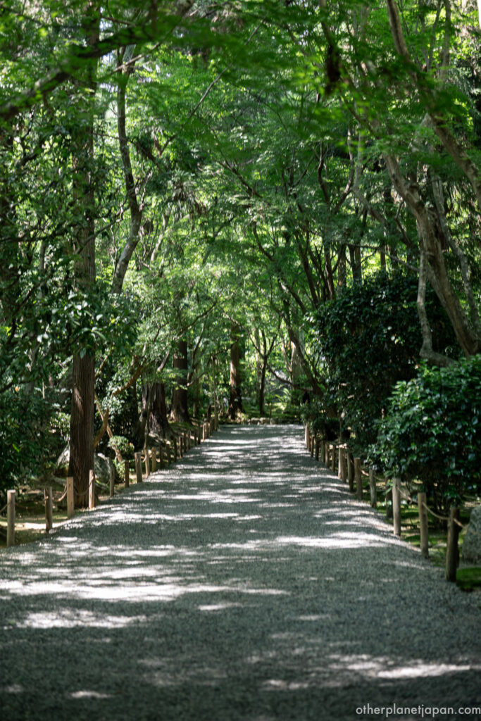 Sunlight filtering through trees onto a gravel path at Ryoanji Temple in Kyoto