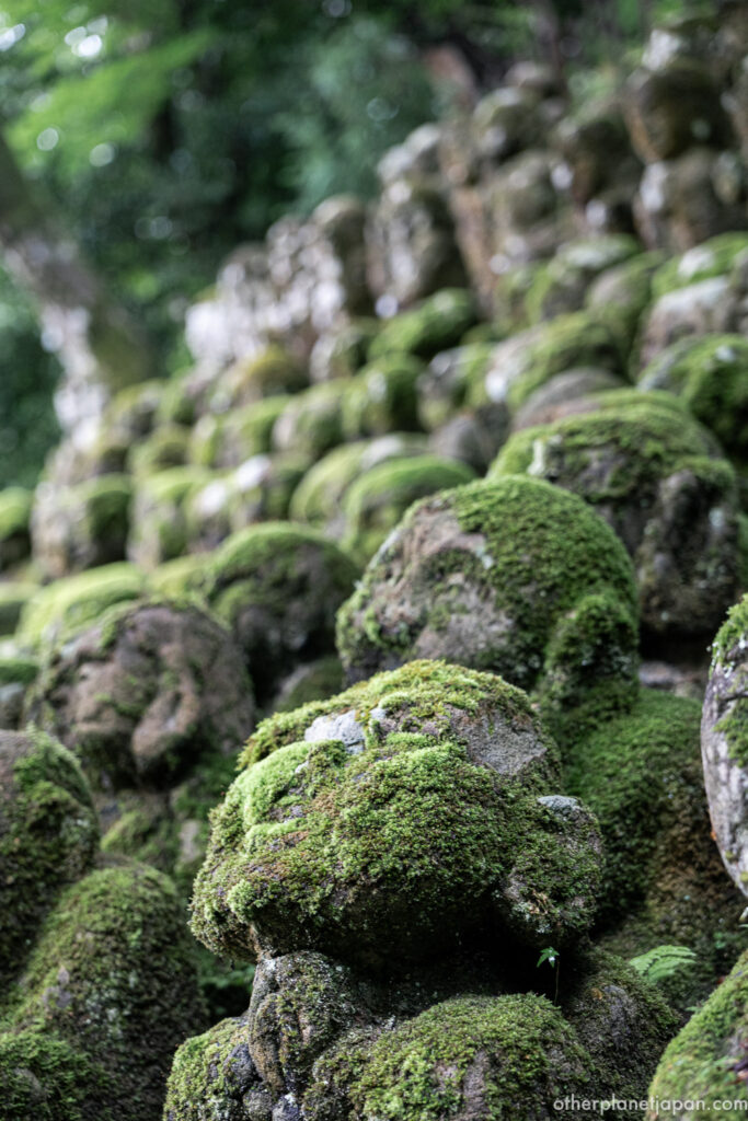 Close-up of thick green moss covering the heads of rakan statues at Otagi Nenbutsuji, Kyoto