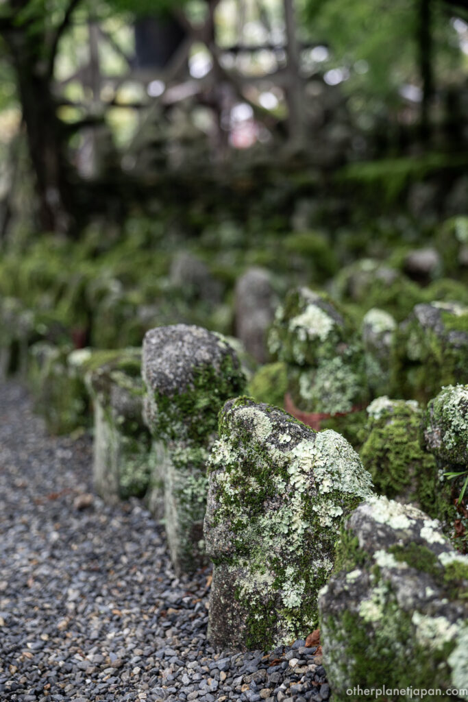 Moss-covered stone Buddhas standing in dense rows on Kyoto's former open burial ground