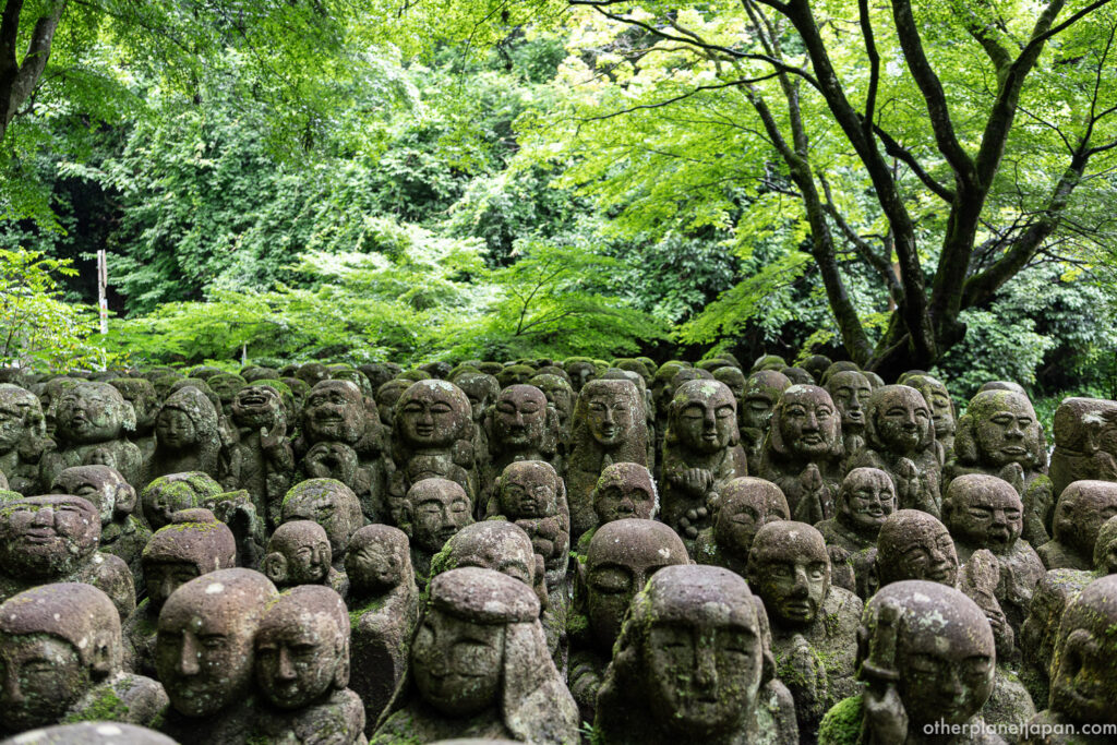 Rows of stone rakan statues with unique facial expressions gathered together beneath lush green maple trees at Otagi Nenbutsuji, Kyoto