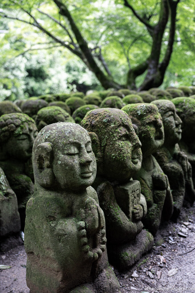 Rows of peaceful rakan statues with varied expressions beneath green maples at Otagi Nenbutsuji temple, Kyoto