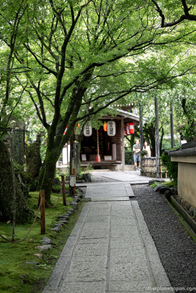 Stone-paved approach to Adashino Nenbutsuji Temple under fresh green maples in Kyoto