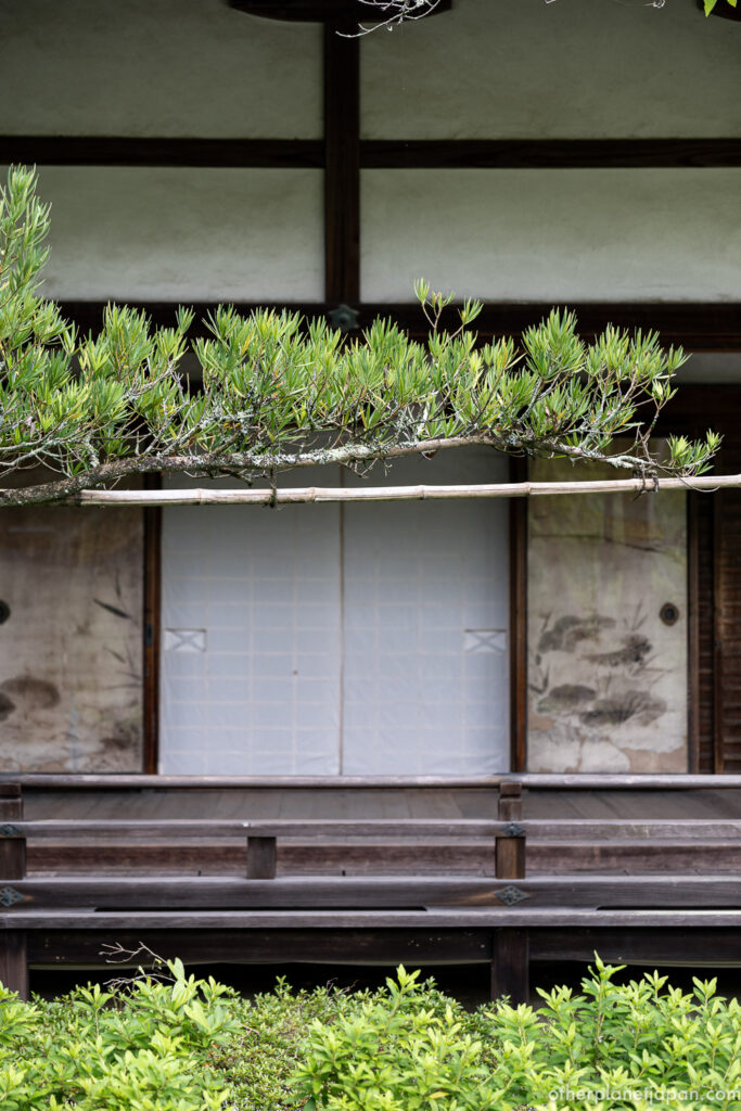 Antique painted sliding doors and a trained pine branch at Bishamondo Temple, Kyoto
