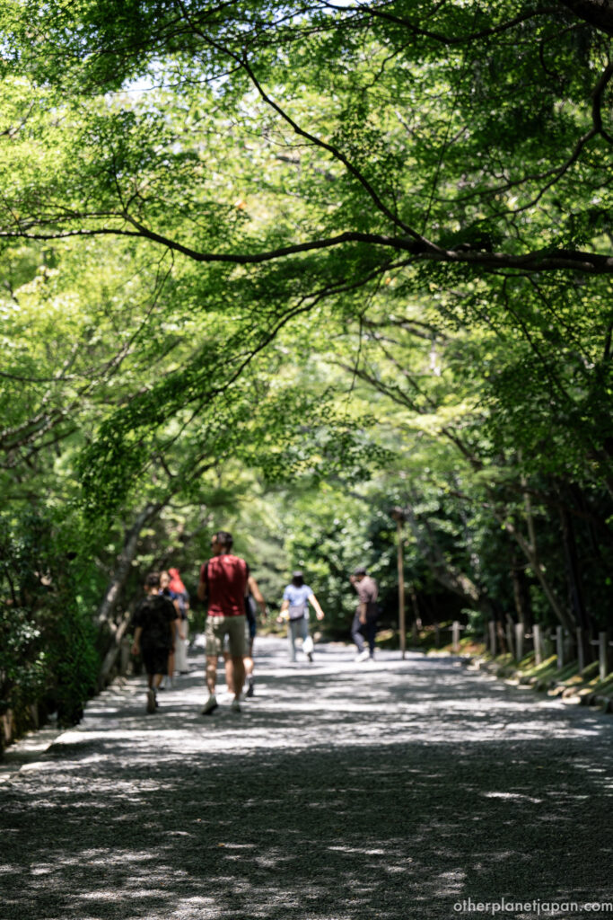 Travelers walking a tree-lined path under green maples at Ryoanji Temple