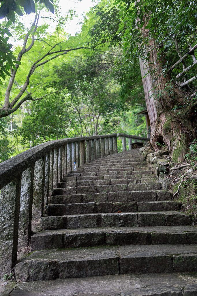 Old stone staircase leading up to Daihikaku Senkoji Temple through the forest in Arashiyama