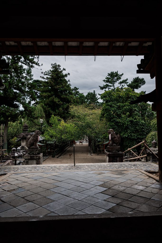 The approach to Himuro Shrine framed by the gate, with stone guardian lions and a deer