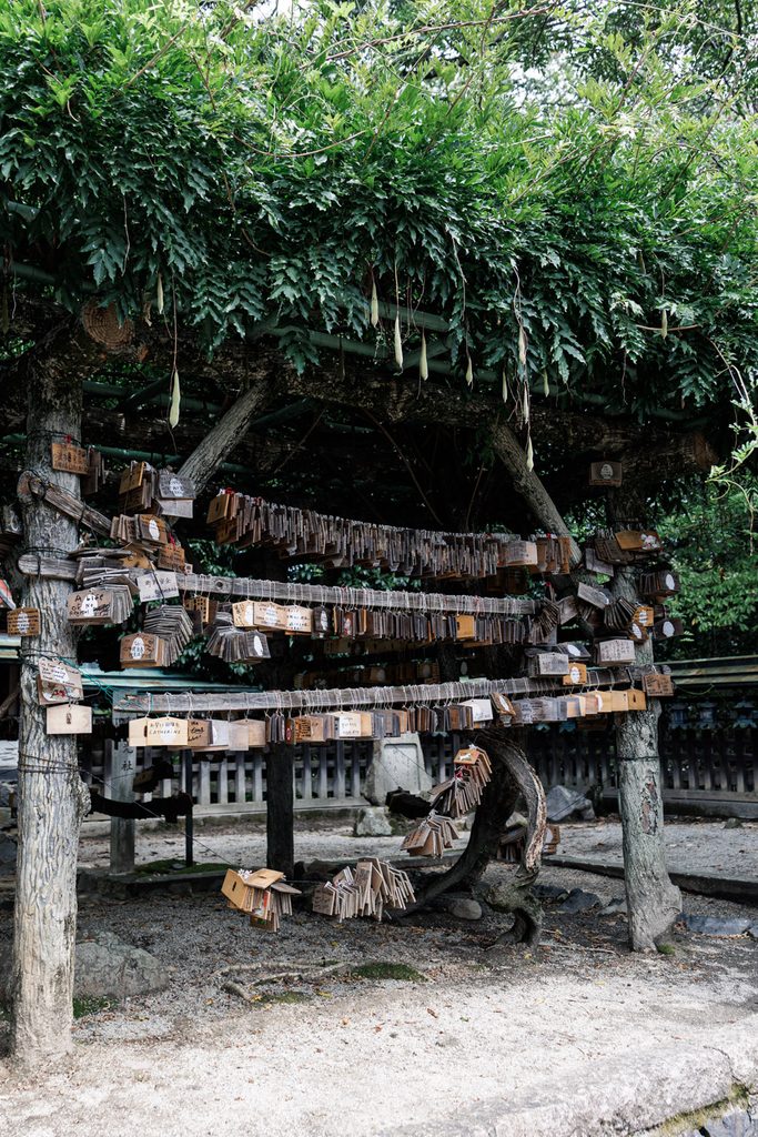 Wooden votive tablets hanging under the wisteria trellis at Himuro Shrine, Nara