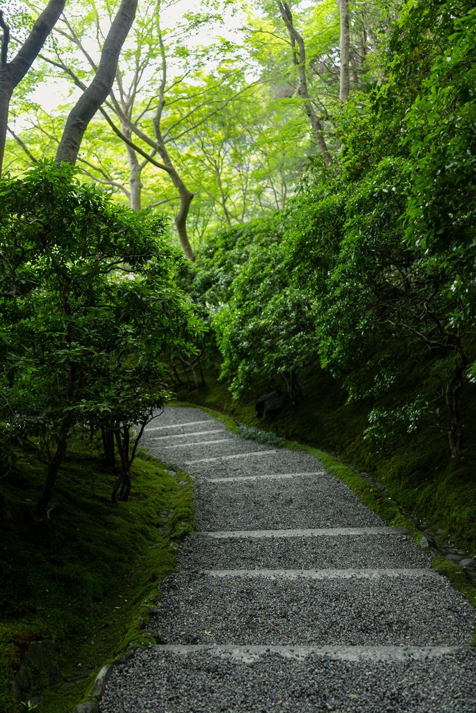 Stone approach path through green maples in the Sanroji Garden at Rurikoin