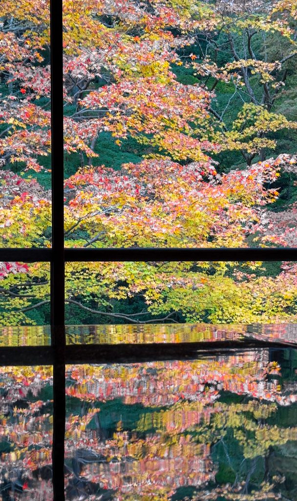 Autumn yuka-momiji reflection framed by the window at Rurikoin Temple
