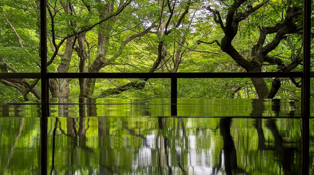 Yuka-momiji at Rurikoin, green maples reflected on the lacquered table of the second-floor study